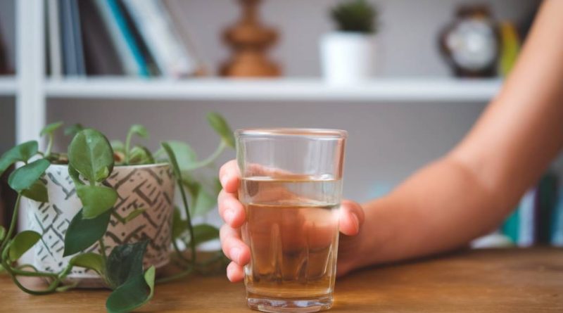 "Les bienfaits du CBD pour la digestion : comment il peut soulager les troubles gastro-intestinaux"