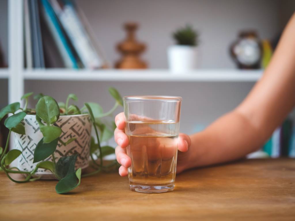 "Les bienfaits du CBD pour la digestion : comment il peut soulager les troubles gastro-intestinaux"